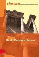bokomslag Ovid, Metamorphosen
