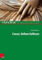 bokomslag Casar, Bellum Gallicum: Explica! - Binnendifferenzierte Lekture Zum Falten