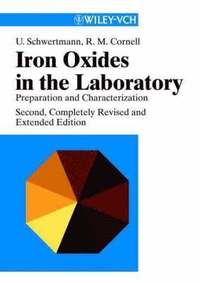 bokomslag Iron Oxides in the Laboratory