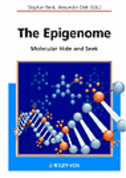 The Epigenome: Molecular Hide and Seek