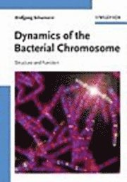 Wolfgang Schumann - Dynamics of the Bacterial Chromosome: Structure and Function, Inbunden