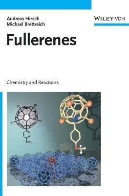 Andreas Hirsch, Michael Brettreich, Fred Wudl - Fullerenes: Chemistry and Reactions, Inbunden