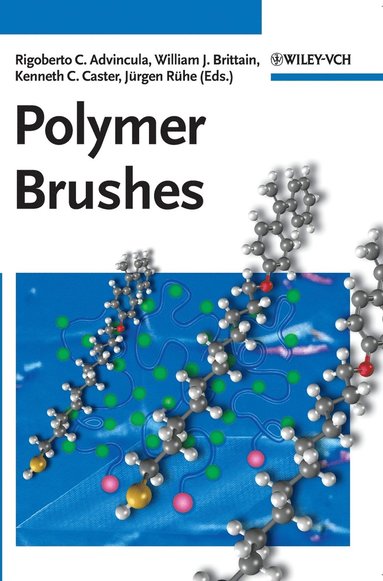 Rigoberto C. Advincula - Polymer Brushes, Inbunden