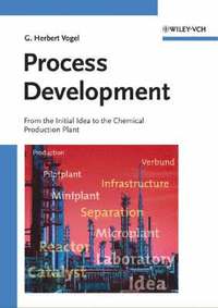 bokomslag Process Development