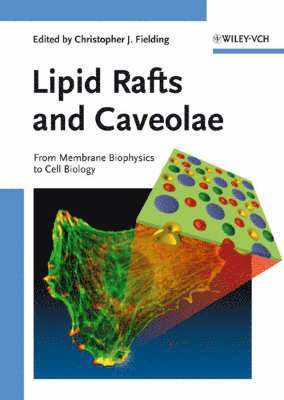 bokomslag Lipid Rafts and Caveolae: From Membrane Biophysics to Cell Biology