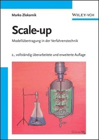 bokomslag Scale-up