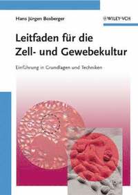 bokomslag Leitfaden fur die Zell- und Gewebekultur - Einfuhrung in Grundlagen und Techniken