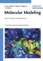 Hans-Dieter Höltje, Wolfgang Sippl, Didier Rognan, Gerd Folkers - Molecular Modeling, Häftad
