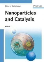 bokomslag Nanoparticles and Catalysis