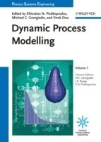 bokomslag Dynamic Process Modeling