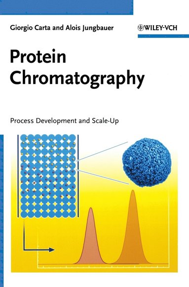 bokomslag Protein Chromatography