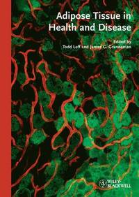 bokomslag Adipose Tissue in Health and Disease