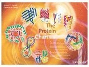 bokomslag The Protein Chart