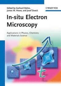bokomslag In-situ Electron Microscopy