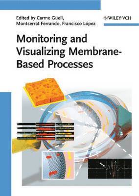 bokomslag Monitoring and Visualizing Membrane-Based Processes