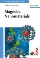 bokomslag Magnetic Nanomaterials