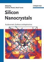 bokomslag Silicon Nanocrystals