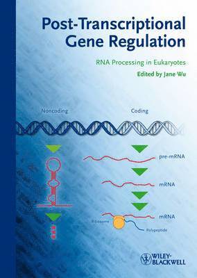 bokomslag Post-Transcriptional Gene Regulation