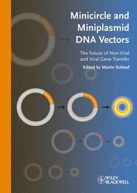 bokomslag Minicircle and Miniplasmid DNA Vectors