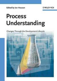 bokomslag Process Understanding