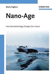bokomslag Nano-Age