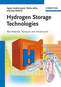 bokomslag Hydrogen Storage Technologies