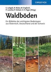 bokomslag Waldbden
