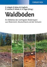 bokomslag Waldboden
