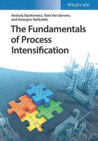 bokomslag The Fundamentals of Process Intensification