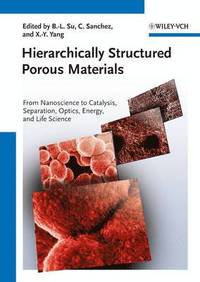 bokomslag Hierarchically Structured Porous Materials