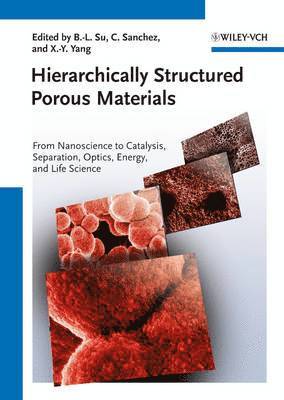 Hierarchically Structured Porous Materials 1