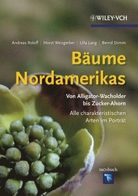 bokomslag Baume Nordamerikas - Von Alligator-Wachholder bis Zuckerahorn Alle charakteristischen Arten im Portrat