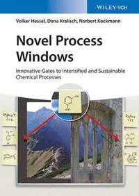 bokomslag Novel Process Windows