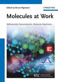 bokomslag Molecules at Work
