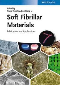 bokomslag Soft Fibrillar Materials