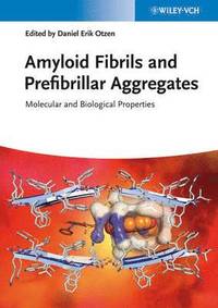 bokomslag Amyloid Fibrils and Prefibrillar Aggregates