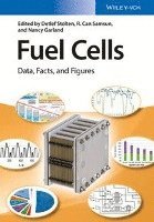 bokomslag Fuel Cells