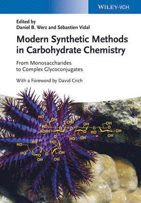 Daniel B. Werz, Sebastien Vidal - Modern Synthetic Methods in Carbohydrate Chemistry, Inbunden