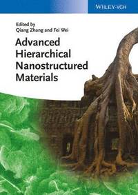 bokomslag Advanced Hierarchical Nanostructured Materials