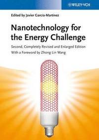 bokomslag Nanotechnology for the Energy Challenge