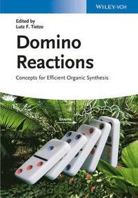 bokomslag Domino Reactions