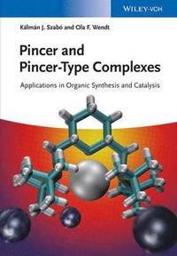 bokomslag Pincer and Pincer-Type Complexes