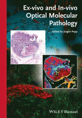 bokomslag Ex-vivo and In-vivo Optical Molecular Pathology