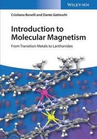 bokomslag Introduction to Molecular Magnetism