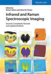 bokomslag Infrared and Raman Spectroscopic Imaging
