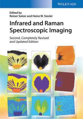 Reiner Salzer, Heinz W. Siesler, Germany) Siesler, Heinz W. (Uni GH Essen - Infrared and Raman Spectroscopic Imaging, Inbunden