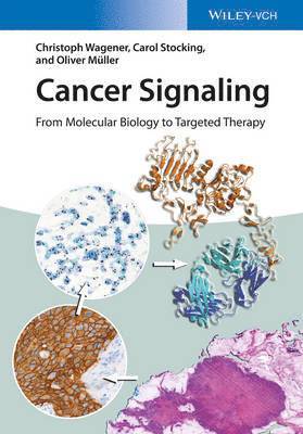 Christoph Wagener, Carol Stocking, Oliver Müller - Cancer Signaling, Häftad