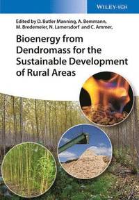 bokomslag Bioenergy from Dendromass for the Sustainable Development of Rural Areas