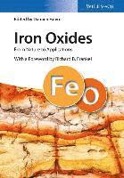 bokomslag Iron Oxides