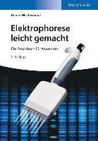 Elektrophorese leicht gemacht 1